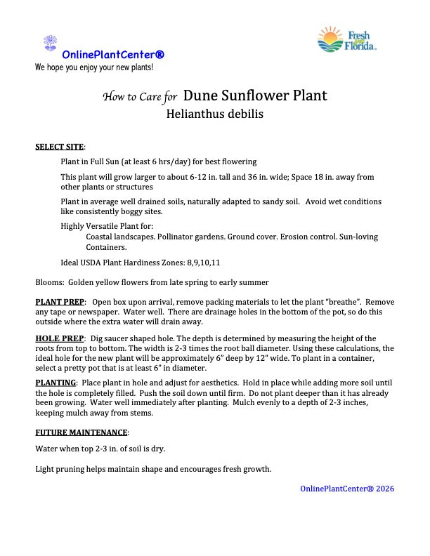 Helianthus Dune Sunflower Perennial Shrub (Yellow Flowers) in a 6 in. (1 gal.) Grower Pot