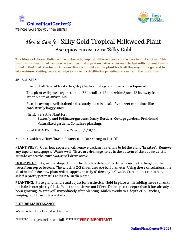 Asclepias Silky Gold Tropical Milkweed Perennial Plant (Yellow Flowers) in a 6 in. (3 gal.) Grower Pot