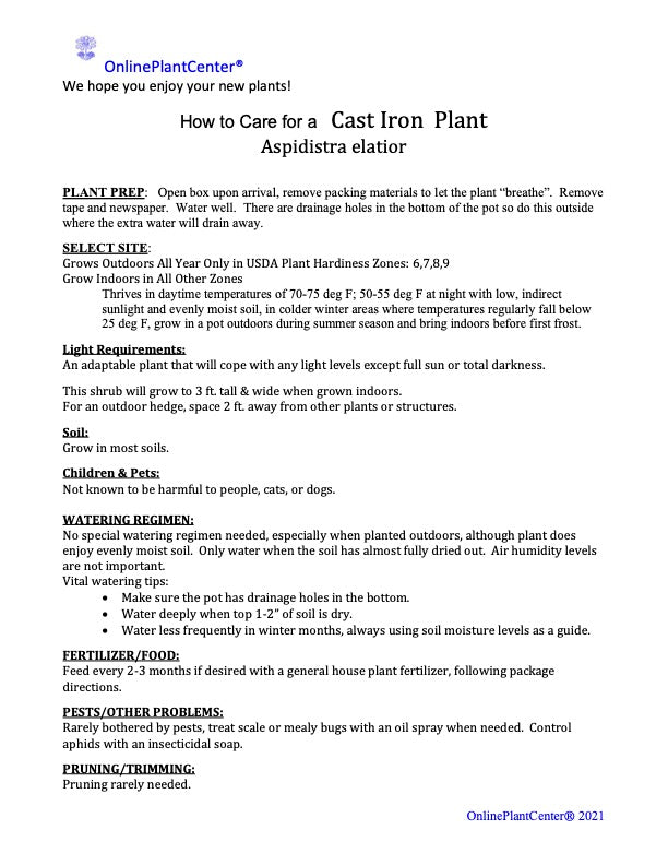 Aspidistra Green Cast Iron Shrub in 10 in. (3 Gal.) Grower Pot