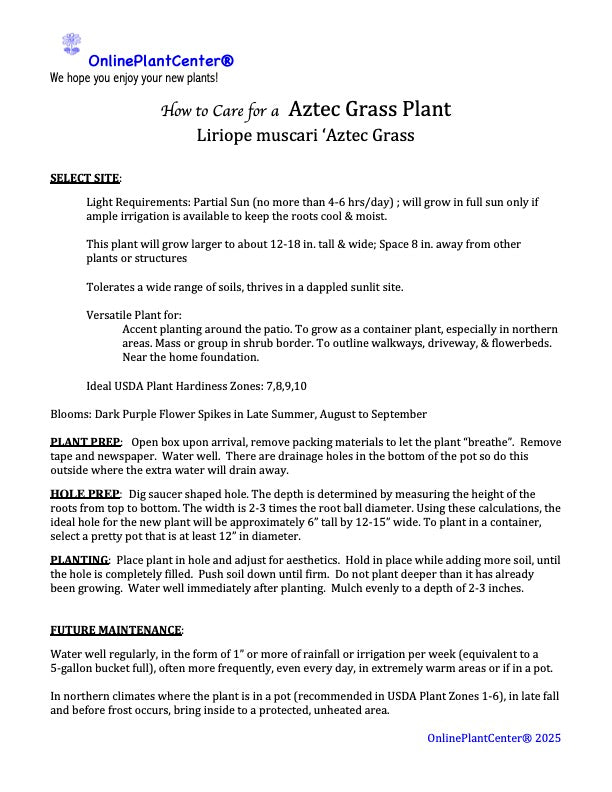 Liriope Variegated Turf Lily Plant (Purple Flowers) in a 6-in. (1 Gal) Grower Pot