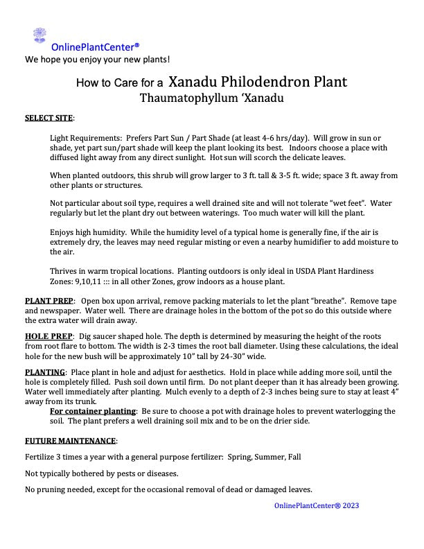 Philodendron Xanadu Plant in 10 in. (3 Gal.) Grower Pot
