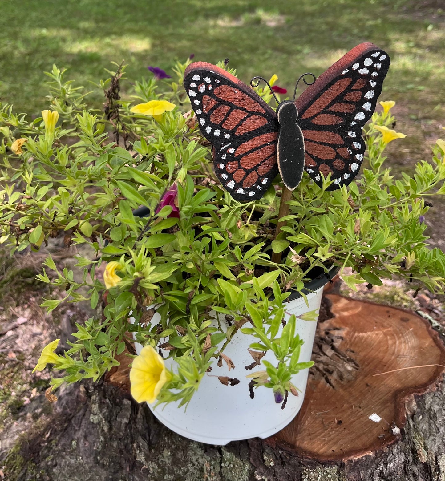 PLANT POKE - Butterfly on a Stick - MONARCH BUTTERFLY - 10.0 in. Tall