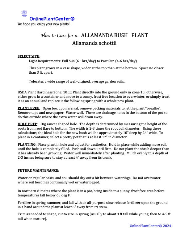 Allamanda Bush Shrub in a 10 in. (3 Gal.) Grower Pot