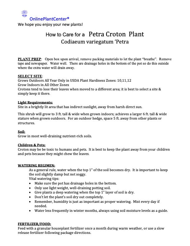 Croton Petra Plant in 10 in. (3 Gal.) Grower Pot