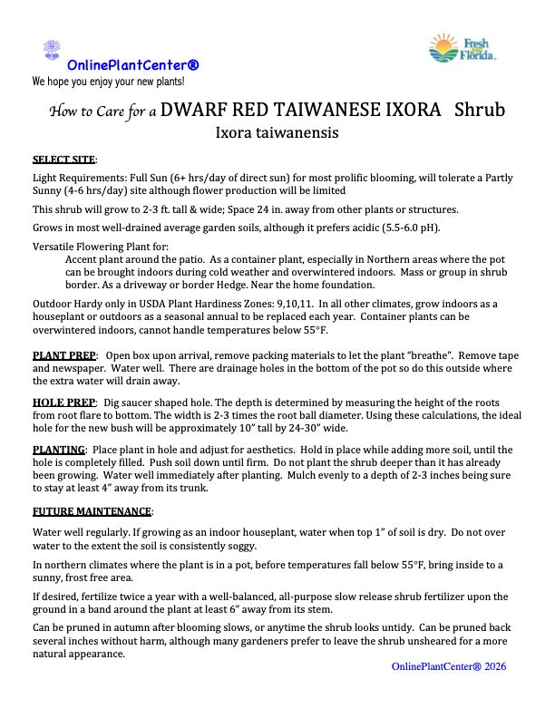 Ixora Dwarf Red Taiwanese Shrub (Fiery Red Flowers) in a 10 in. (3 Gal.) Grower Pot