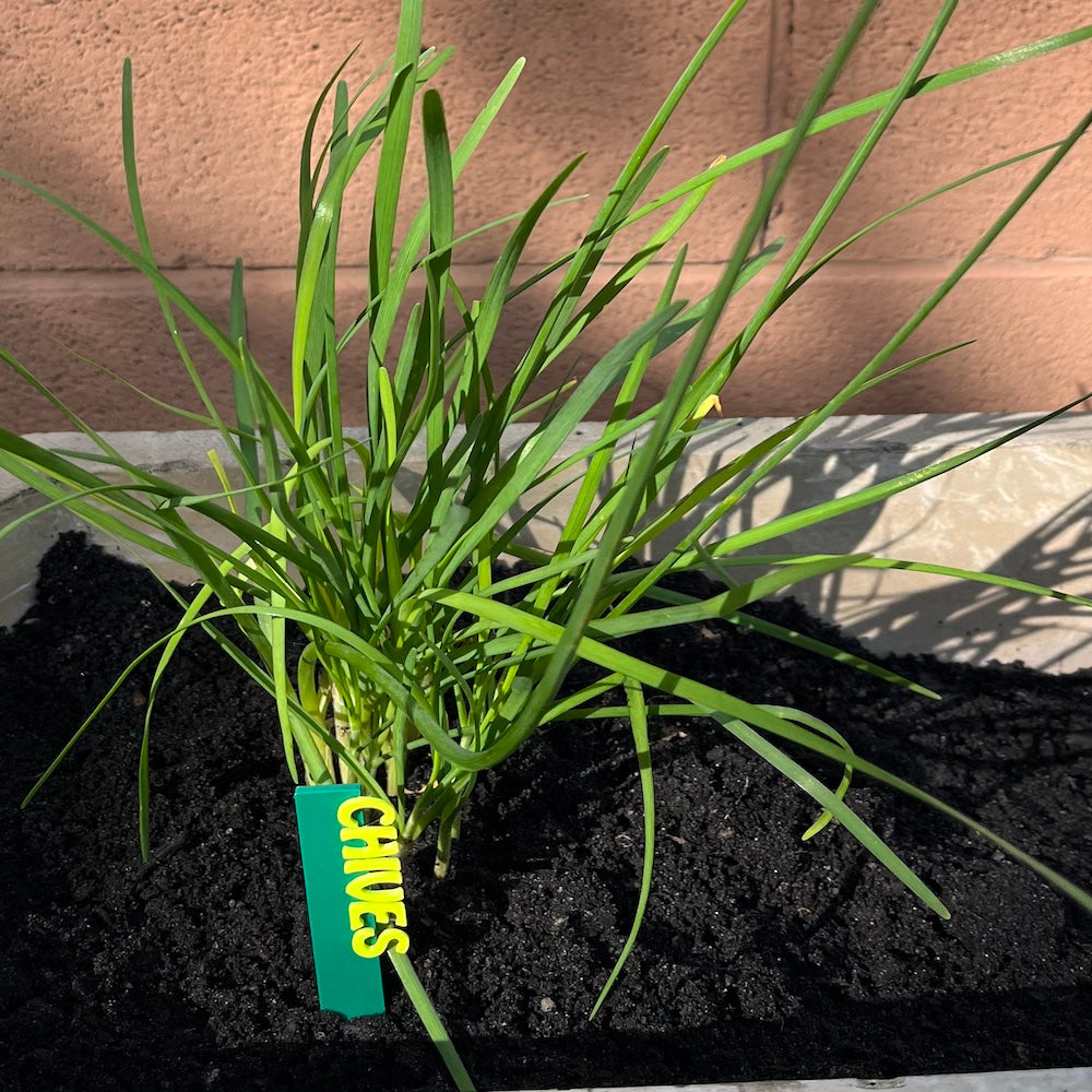 Garden Marker Stakes - HERBS