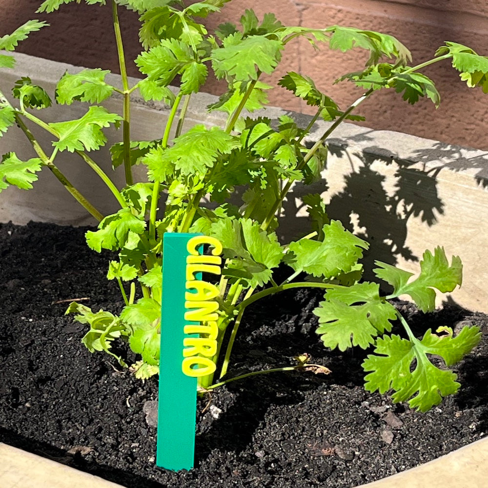 Garden Marker Stakes - HERBS