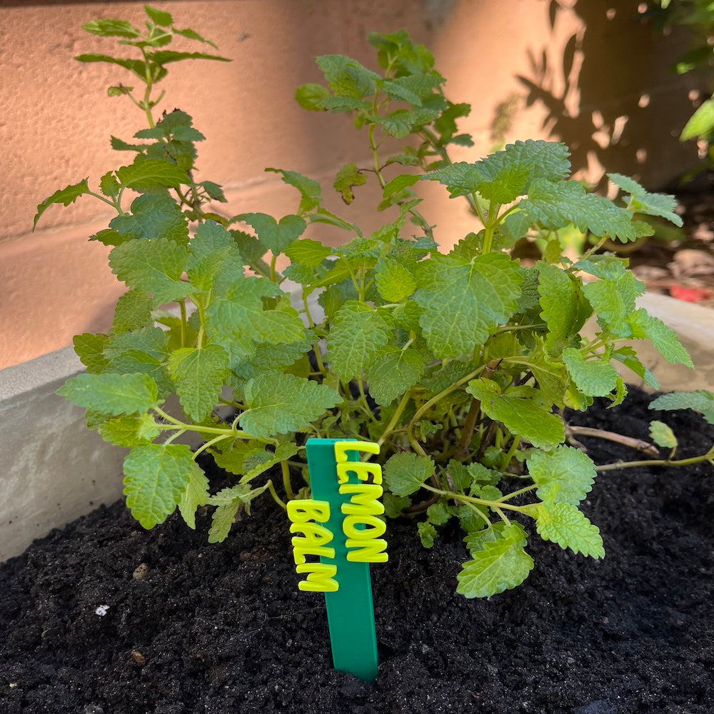 Garden Marker Stakes - HERBS