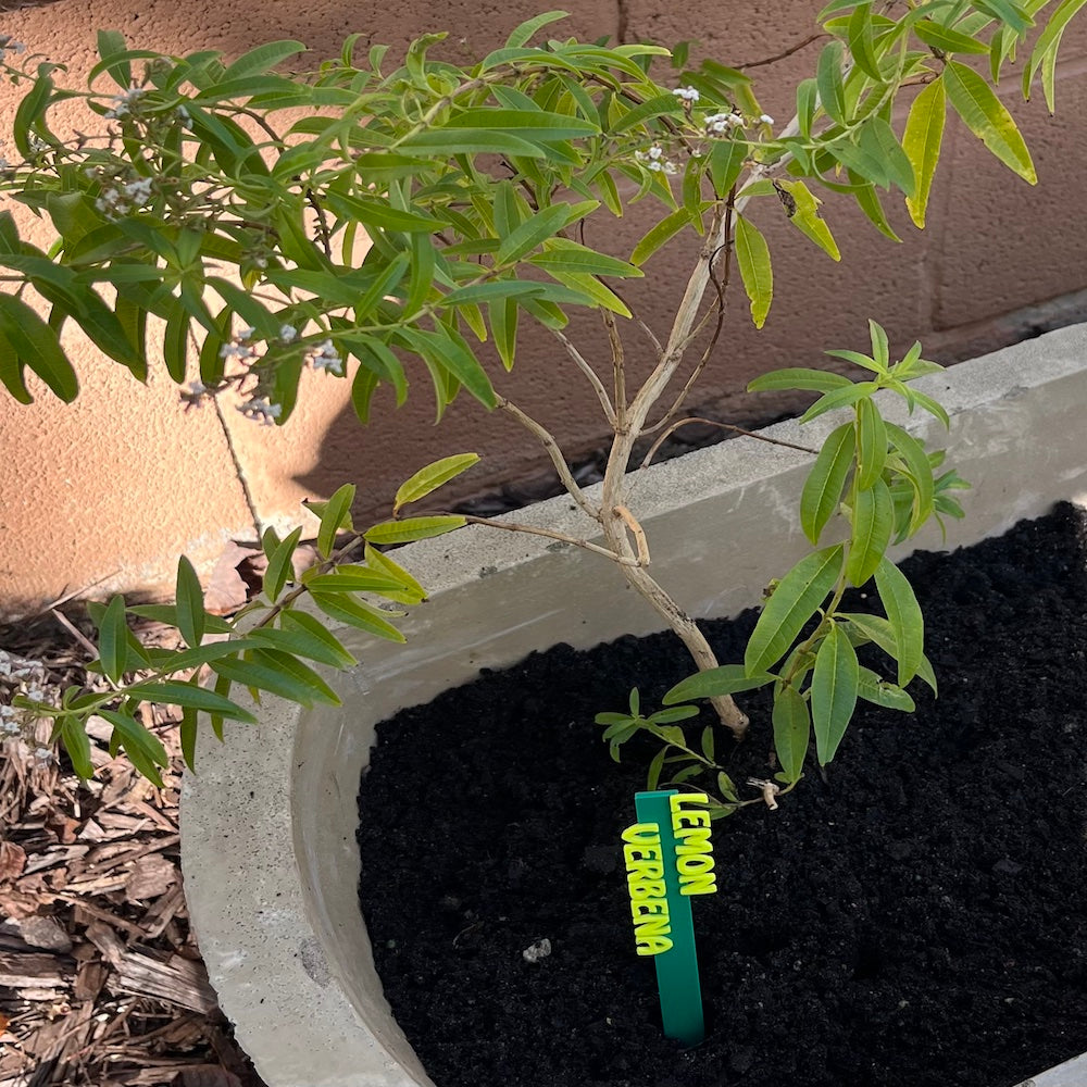 Garden Marker Stakes - HERBS