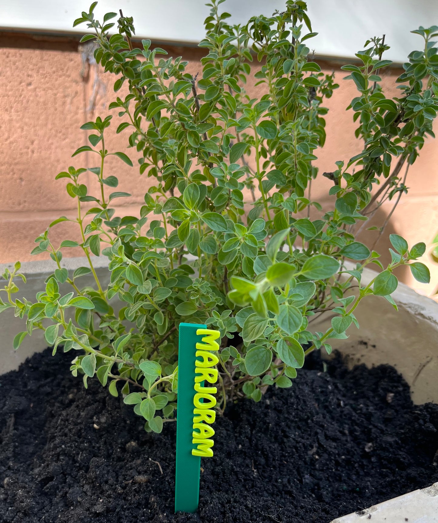 Garden Marker Stakes - HERBS