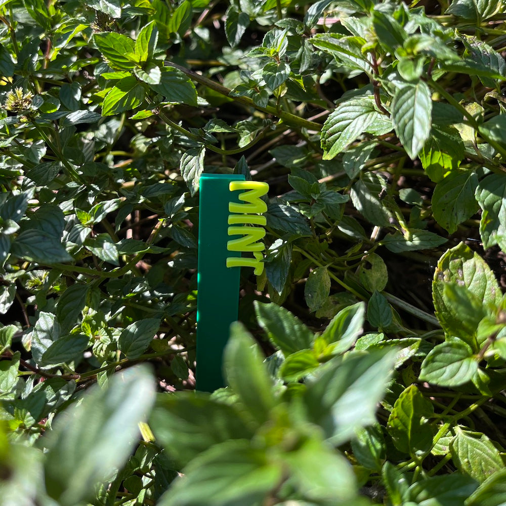Garden Marker Stakes - HERBS