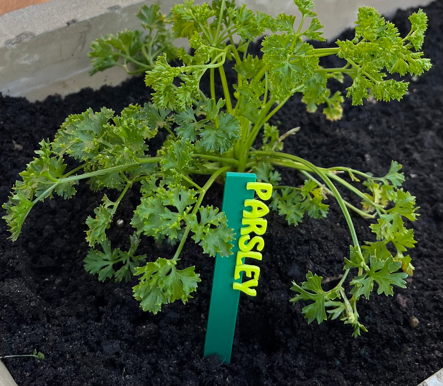Garden Marker Stakes - HERBS