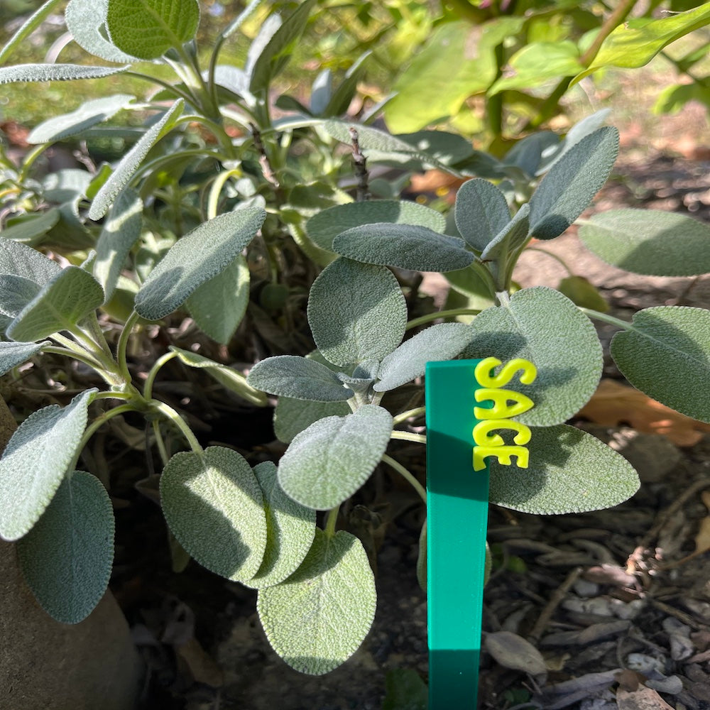 Garden Marker Stakes - HERBS
