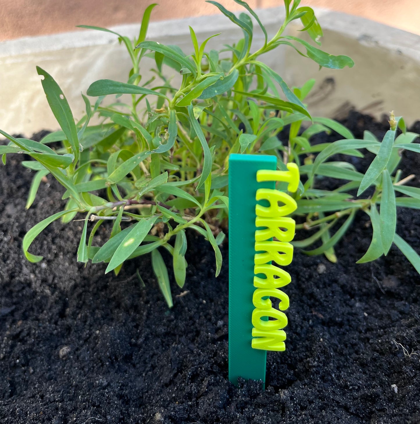 Garden Marker Stakes - HERBS