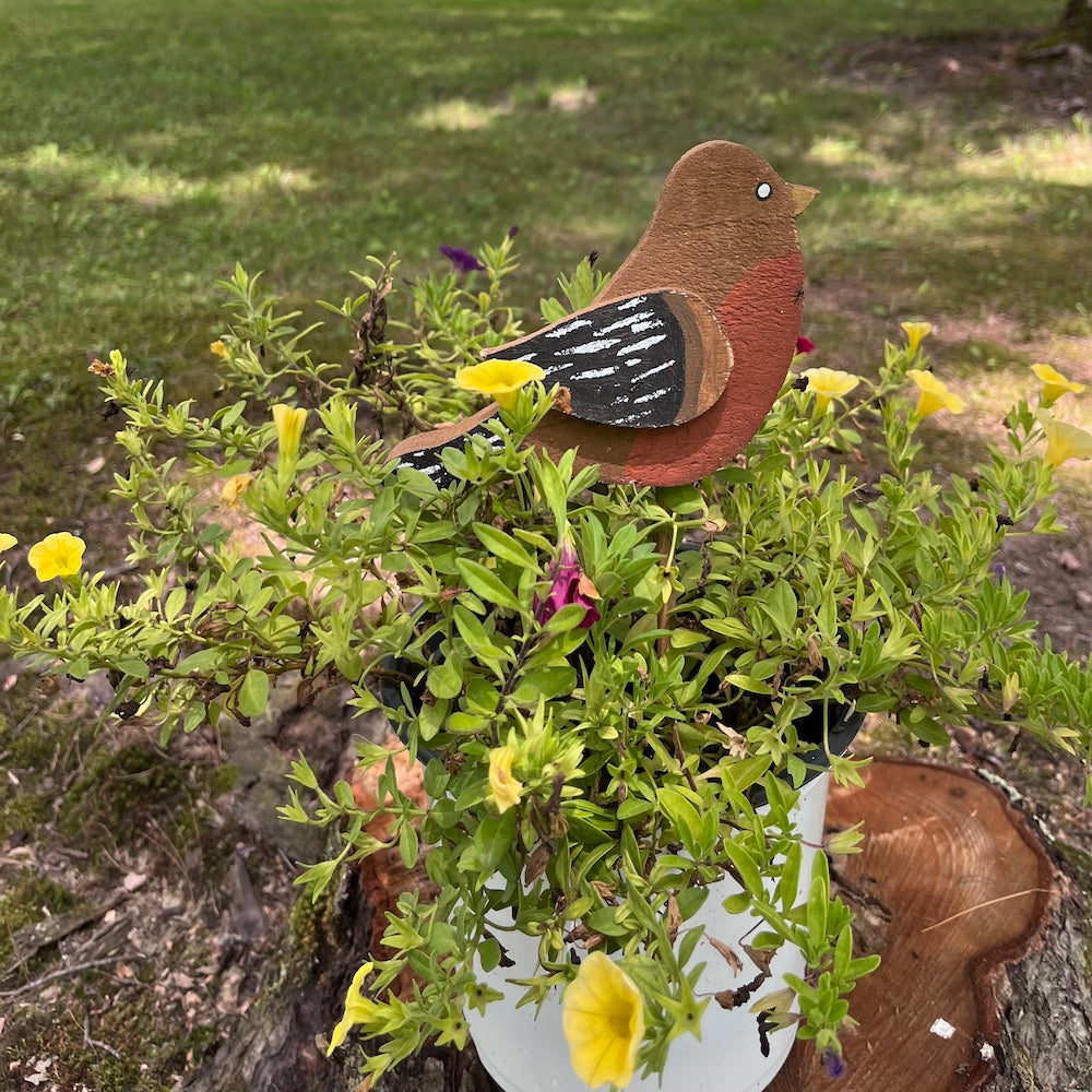 PLANT POKE - Bird on a Stick - ROBIN - 10.0 in. Tall