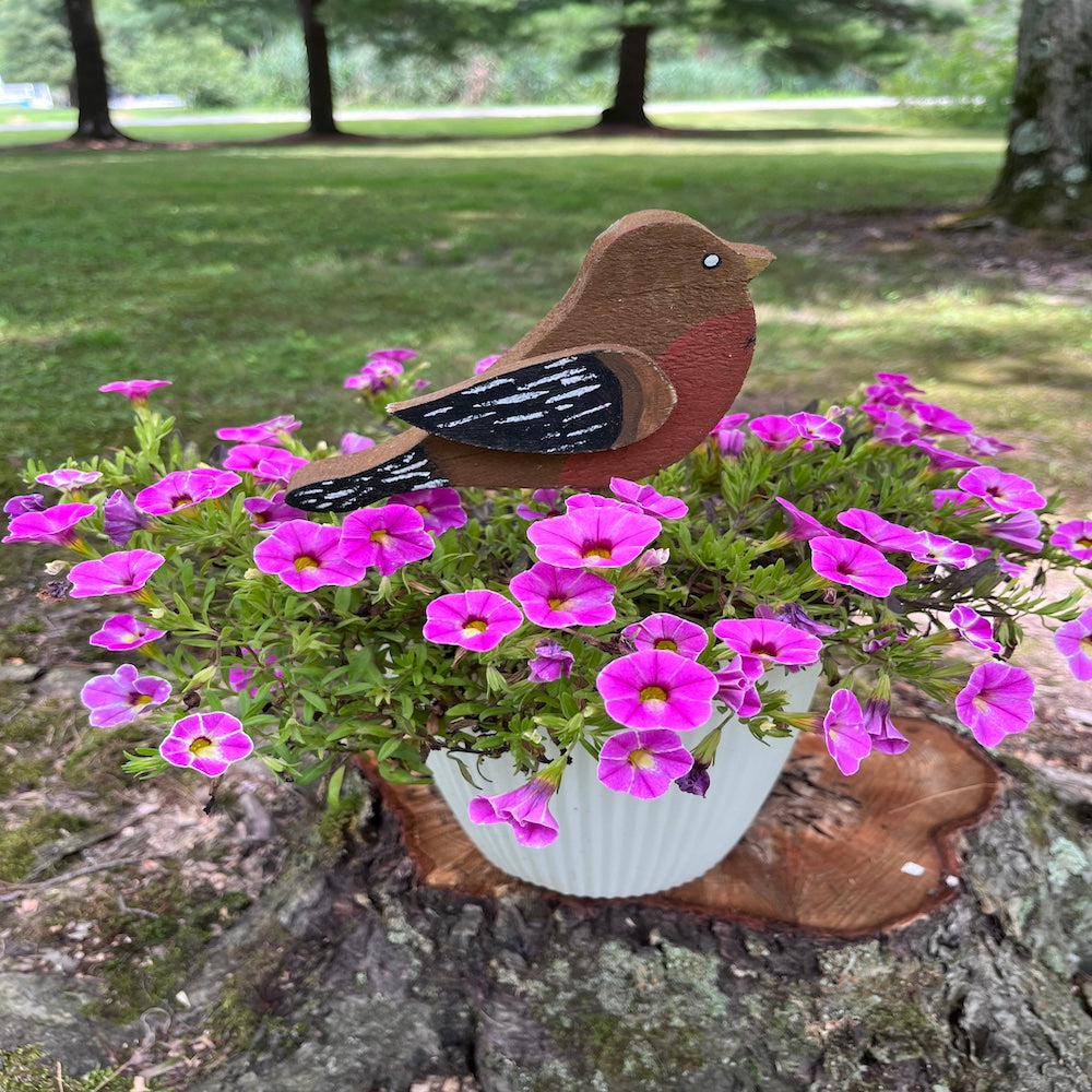 PLANT POKE - Bird on a Stick - ROBIN - 10.0 in. Tall